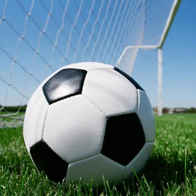 澳客体育彩票手机版专家团队